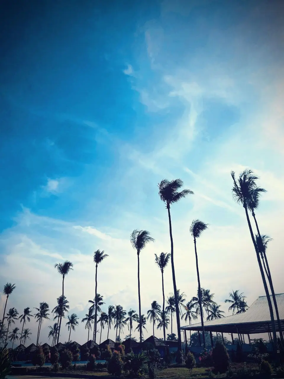 forever in my prime time era👀. #fypage #fy #primetime 