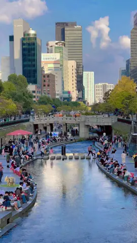 Autumn vibes in the heart of Seoul 🍂✨ Walking along Cheonggyecheon feels like stepping into a painting — golden leaves, cool breeze, and the sound of flowing water. 🍁🇰🇷 서울 도심 속 가을 감성 🍂✨ 청계천을 따라 걷다 보면 마치 그림 속을 걷는 기분이에요. 노랗게 물든 나뭇잎과 시원한 바람, 흐르는 물소리가 완벽한 힐링 🍁💛 #Cheonggyecheon #청계천 #SeoulAutumn #SeoulVibes #AutumnInKorea #FallInSeoul #KoreaTravel #SeoulLife #KoreanScenery #TravelKorea #VisitSeoul #AutumnLeaves #FallVibes #KoreanAutumn #HiddenSeoul #TravelTok #청계천 #서울가을 #가을산책 #서울여행 #가을감성 #가을풍경 #한국여행 #서울일상 #서울명소 #가을힐링 #대한민국여행 #서울데이트 #가을분위기 #여행그램 #가을사진 #SeoulAutumnMagic   #포스팅으로득템 