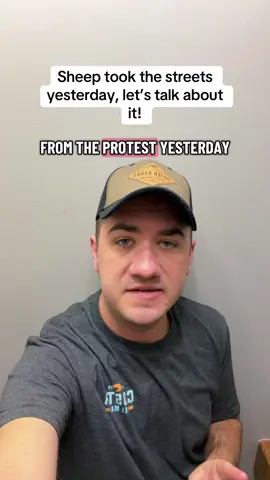They’re against the constitution sometimes and sometimes not. They’re against democracy but sometimes not. They like the American flag but sometimes not. These people are easily manipulated by emotion and can never stay consistent on their beliefs which is why they’re very hard to take seriously. #fyp #politics #republican #controversial #conservative 