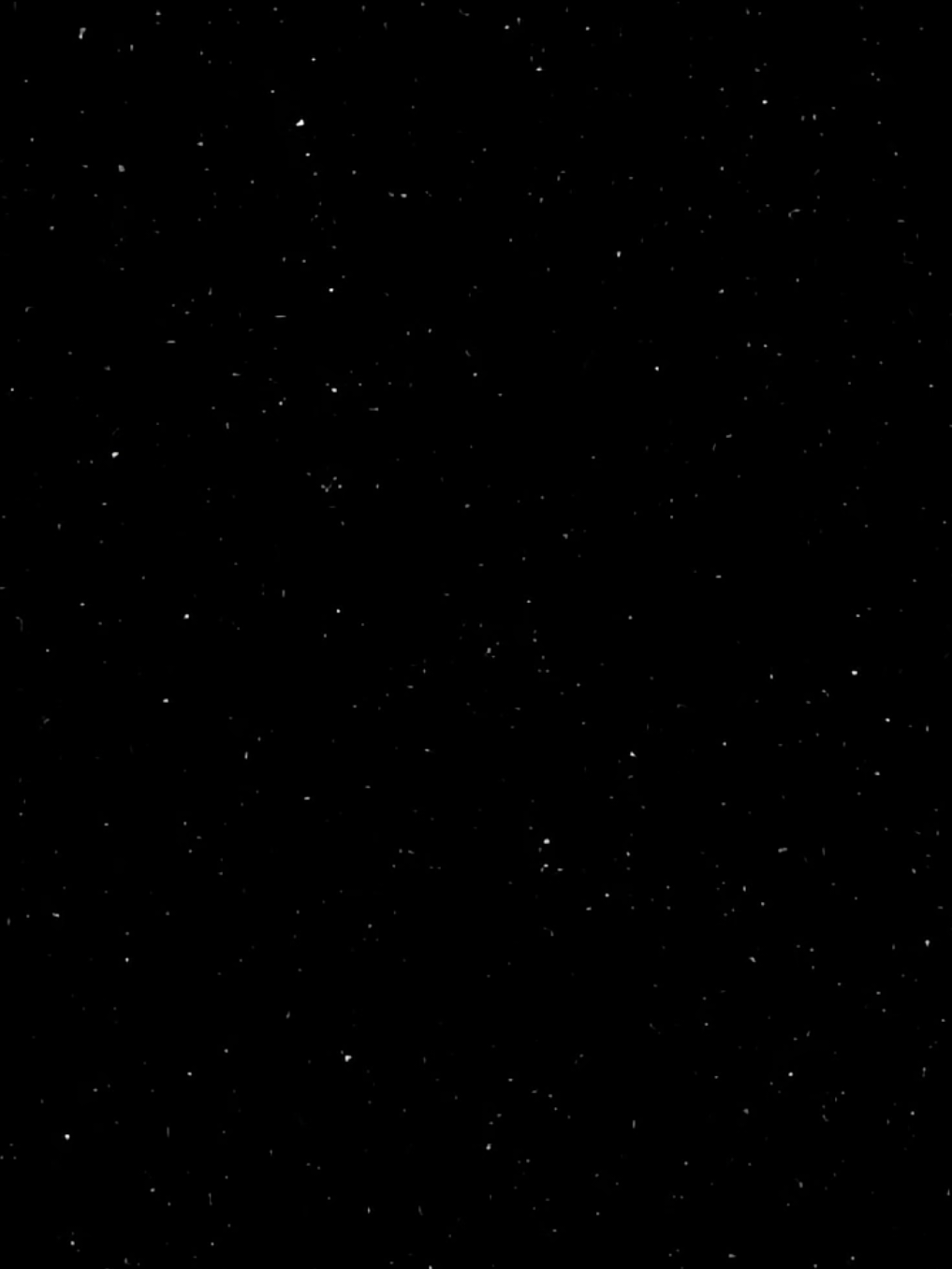 كلها عافتك 💔🗿  .  .  .  .  .  .  .  #عبارات #الندم #تيم_هوند #مشاهدات100k🔥 #تصميم_فيديوهات🎶🎤🎬 