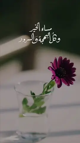 مساء الخير للذين يمرون على القلب بالمحبه والغلا مساء الشوق للناس الذوق 🌺💞💞