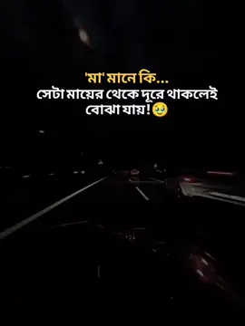 মা মানে কি সেটা মায়ের থেকে দূরে থাকলেই বোঝা যায়!🥹#বাংলা #স্ট্যাটাস #foryou #foryoupage #tiktokbanglades 