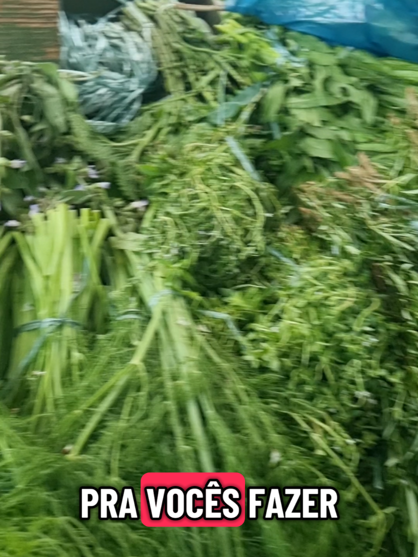 ✨ Limpeza Energética com Alecrim, Arruda e Manjericão ✨ O alecrim é uma erva de luz e força, capaz de revigorar o corpo e a alma. Ele limpa as energias pesadas, traz clareza mental e renova o ânimo. A arruda atua como um verdadeiro escudo, afastando invejas e más vibrações, enquanto o manjericão harmoniza as emoções, trazendo paz, proteção e equilíbrio interior. Juntos, esses três aliados naturais ajudam a restaurar a energia vital, elevando a vibração e devolvendo leveza ao espírito. 🌿💫 #limpezaenergetica  #banhodeervas  #espiritualidade 