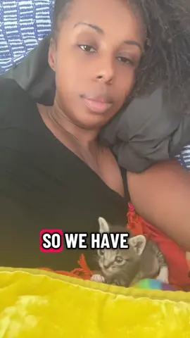 She's so adorable 🥰 Day #6 Abandoned kitten.  