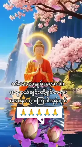 ၇ရက်သား၇ရက်သမီးအပေါင်းကျန်းမာကြပါစေချမ်းသာကြပါစေကပ်ကြီးသုံးပါးမှကျော်လွှားနှိင်ကြပါစေ🙏🙏🙏