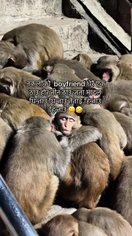 Mention gara nakali lai😆#repost #fyp #pokhara 