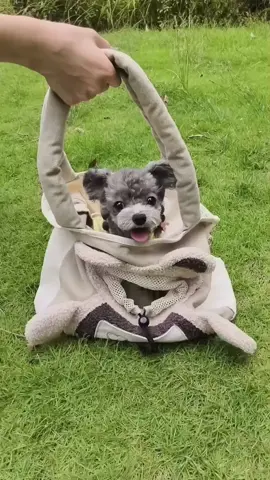 You can get This carrier bag at our website icexeco.com or visit our homepage ✅ #dogowners #PetAccessories #dogchristmasoutfit #cutepet #smalldog 