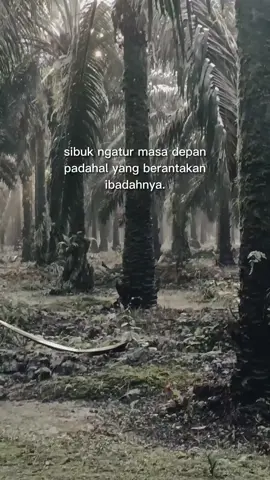 🥺🥺🥺 #sawit  #storysawit🌴🌴 