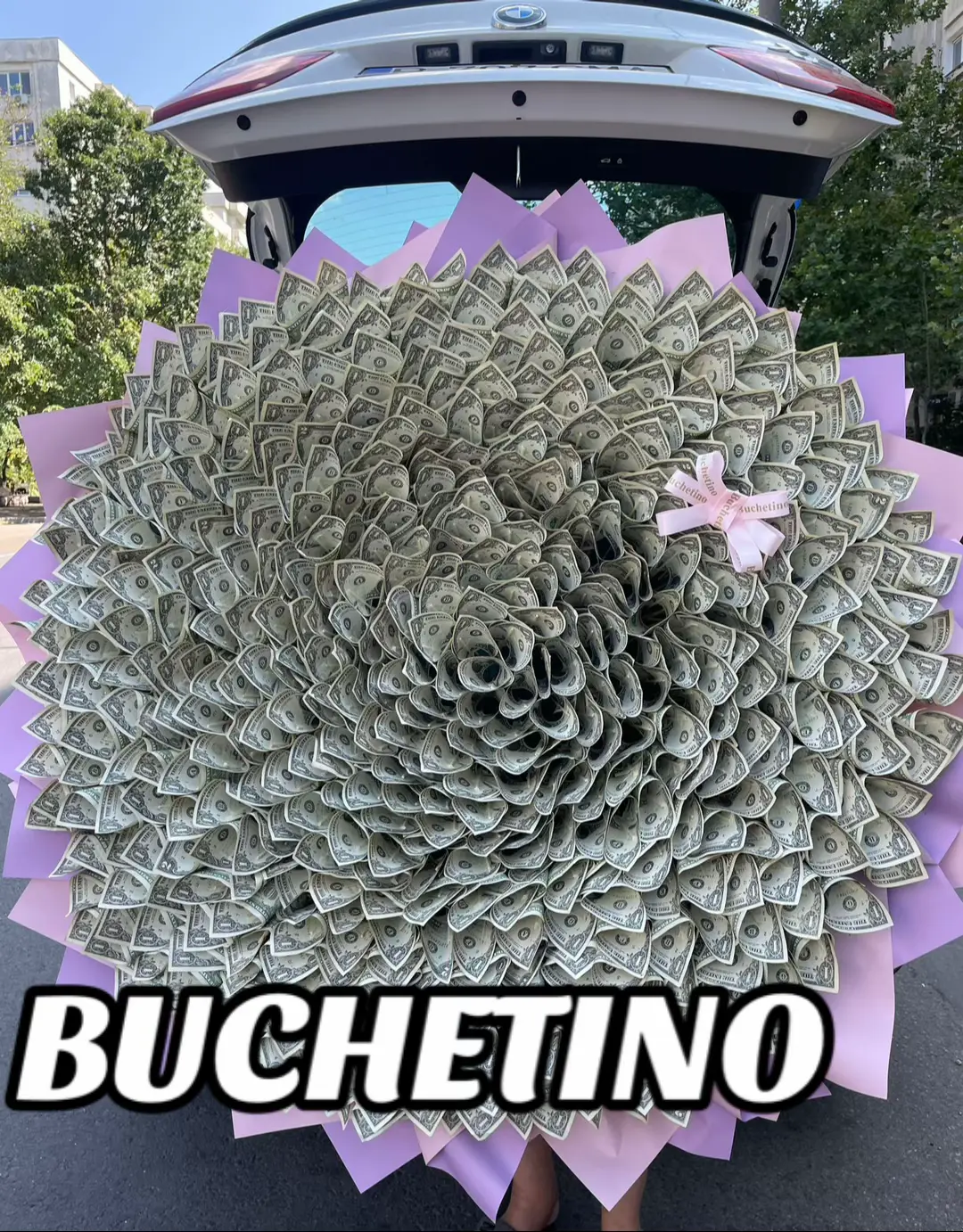 @Ramo Diana @Ionutpromovarii @Marius S @🇬🇧Georgiana🇷🇴🌹 @@adriantke21💎 @𝙳 𝙴 𝙽 𝙸 𝚂 @Angela Negrotă 💶💴💵💸