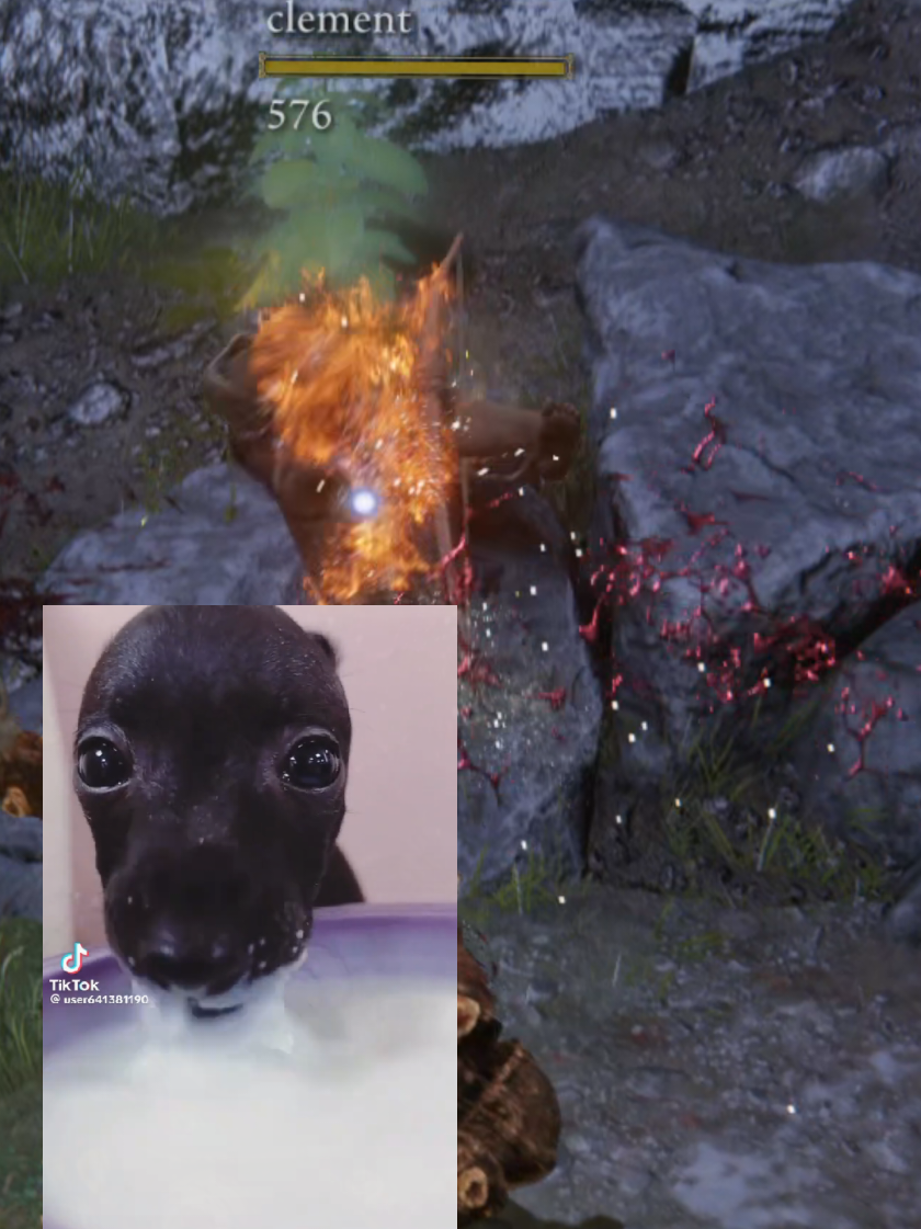 low quality upload because im working on a long video that's actually well made #eldenring #fyp #gaming #pvp #poop 