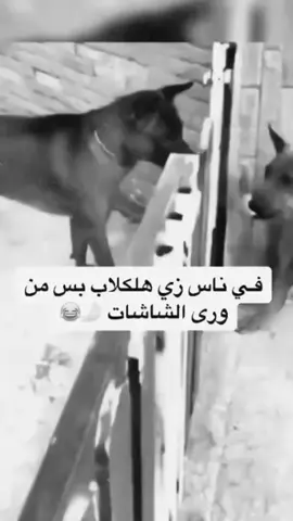 هههههههههه
