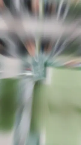 မူးလိုက်တာ ချန်ကောလေးရယ်🤭 #chenzheyuan #chenzheyuan陈哲远 #chenzheyuan陈哲远 #chenzheyuan陈哲远 #chenzheyuan陈哲远 