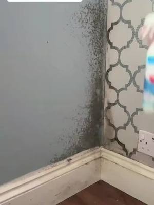 Nettoyant rapide anti-moisissures pour murs élimine les taches en minutes.