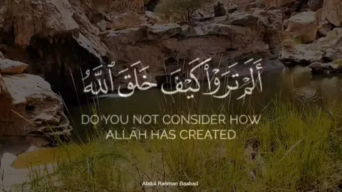 #قران_كريم  #ايات_قرانيه_تريح_القلب 