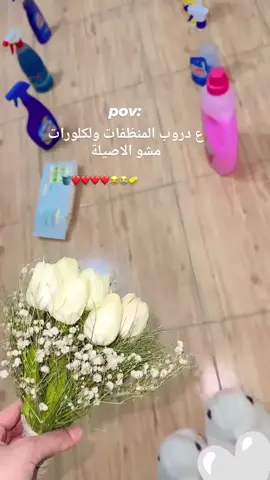 #ع_دروب_المنظفات_ولكلورات_مشو_الاصيلة_#امجد_جمعة#وهيكااا🙂🌸تابعووني🙂💔 