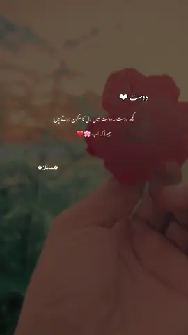 کچھ لوگ زندگی میں صرف دوست بن کر نہیں آتے، بلکہ وہ دل کا سکون، روح کا قرار اور مسکراہٹوں کی وجہ بن جاتے ہیں۔ ان کی موجودگی سے ماحول میں ایک عجب سی خوشبو پھیل جاتی ہے، جیسے ہر دکھ، ہر پریشانی ان کے پاس آ کر خود بخود ختم ہو جاتی ہو۔ ان کے ساتھ وقت گزارتے ہوئے لمحے بھی خاص لگتے ہیں، اور ان کی باتوں میں ایسا سکون چھپا ہوتا ہے جو کہیں اور نہیں ملتا۔ ایسے ہی دوست تم ہو، جو صرف ایک تعلق نہیں بلکہ زندگی کا وہ خوبصورت حصہ ہو جہاں دل کو ہمیشہ سکون ملتا ہے۔ 💖#yourfinn #fyp #hehe_asad #_silent_cries 