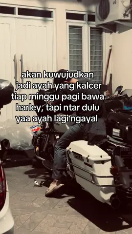 future 😵 #harleydavidson #harley 