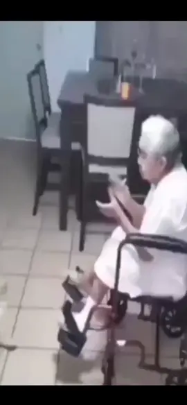 perro meme#comedia#perro#risa