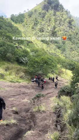 ngetes mental pemula tenan ki 😂#merbabu#merbabuviagancik 