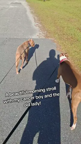 Happy Sunday! A beautiful morning stroll with my cancer boy and the old lady!