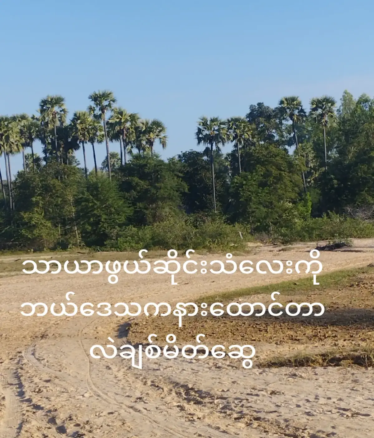 #ဆိုင်းချစ်သူများအတွက်ပါဗျ #ပြန့်ပွားစိန်
