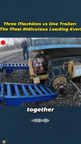 Three Machines vs One Trailer: The Most Ridiculous Loading Ever! #ConstructionLife #HeavyMachinery #BulldozerPower #TrailerLoading 