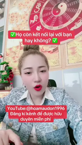 Họ còn kết nối lại với bạn không? #traibaichungtarot #tarrottinhyeu #tarrot #traibaingaunhien #traibaitarot 