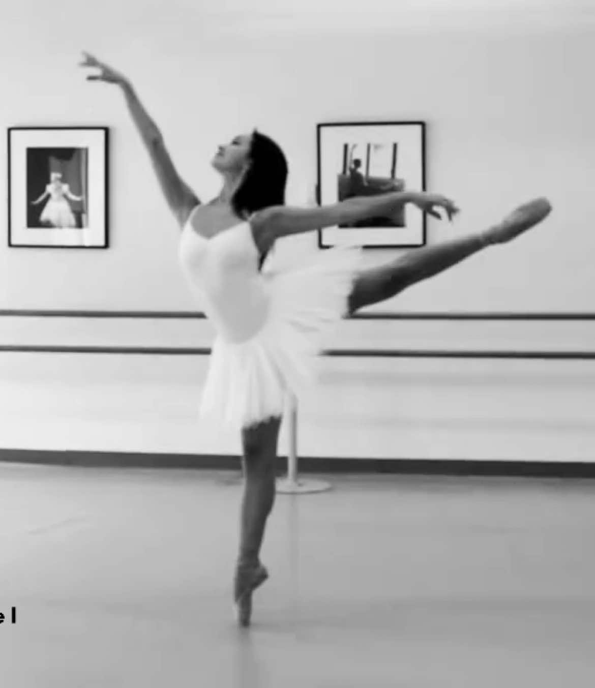 #fyp #fypage #maybe #ballet #dream                                                Video by: @Fauna | photography 