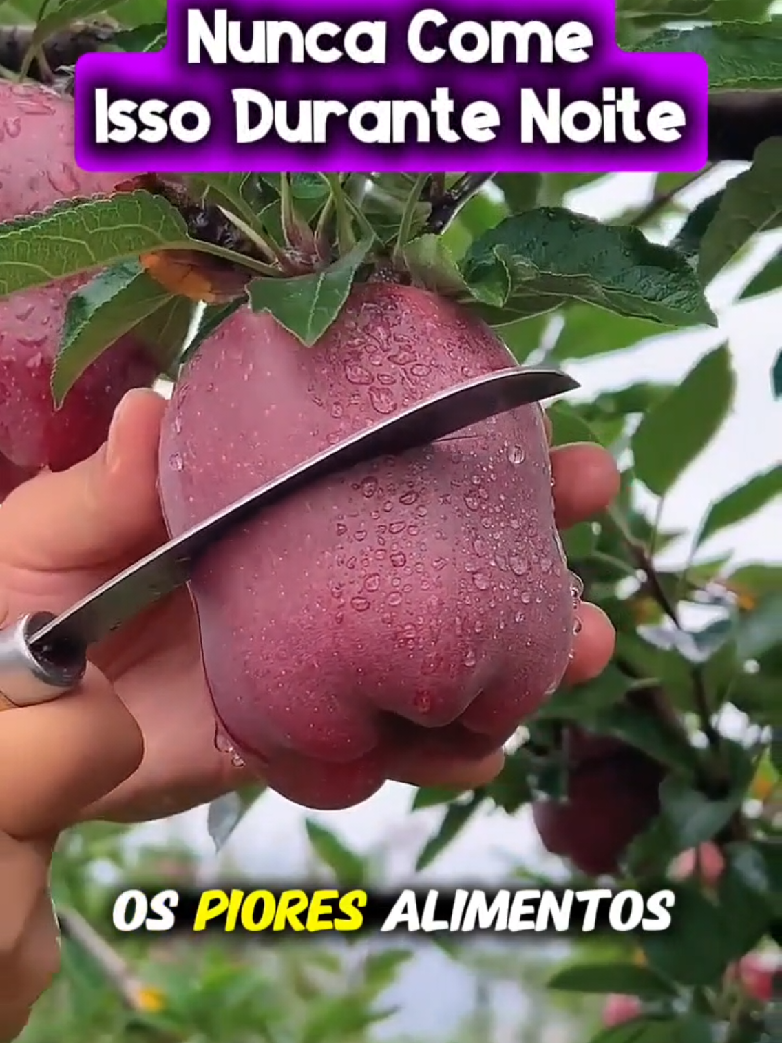 Alimentos ruins para comer de noite #saude 