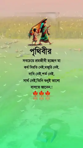#পৃথিবীর সবচেয়ে শ্রমজীবী হচ্ছে মা কর্মী বিরতি নেই মজুরী নেই দাবি নেই শর্ত নেই সার্থ নেই তিনি শুধুই ভালো বাসতে জানেন #vairal #videos #bangladesh🇧🇩 @TikTok 