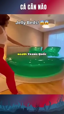 Giường siêu độc lạ #fyp #foryou #trending #tt #viral 