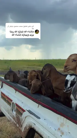 الرد على @محمد محمود بابكر ال طه 