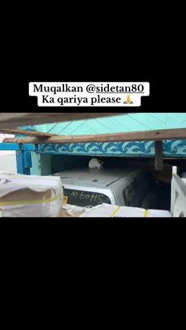 #somalitiktok #foryoupage #galmudug #mr_dagane #muqdisho 