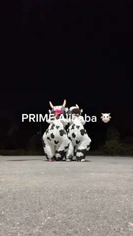 PRIME @Alibaba 💫 🐄🐮 #prime #alibaba 
