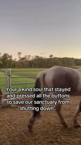 Your a kind soul that stayed and pressed all the buttons to save our sanctuary from shutting down..