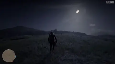 ريد ديد اقلب الجوال و استمتع 🤠👊🏼 #ردد #ريدديدريدمبشن2 #reddeadonline #شعب_الصيني_ماله_حل😂😂 #اكسبلور 