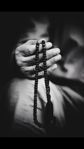 #تلاوة_خاشعة #سعد_الغامدي #قران_كريم #راحة_نفسية #ارح_سمعك_بالقران 