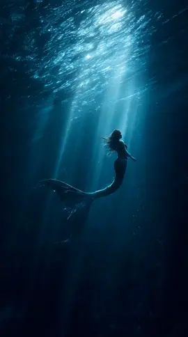 #animaisnotiktok #natureza #ocean  #sereia #beauty 