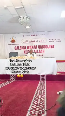 #livehighlights #tiktoklive 