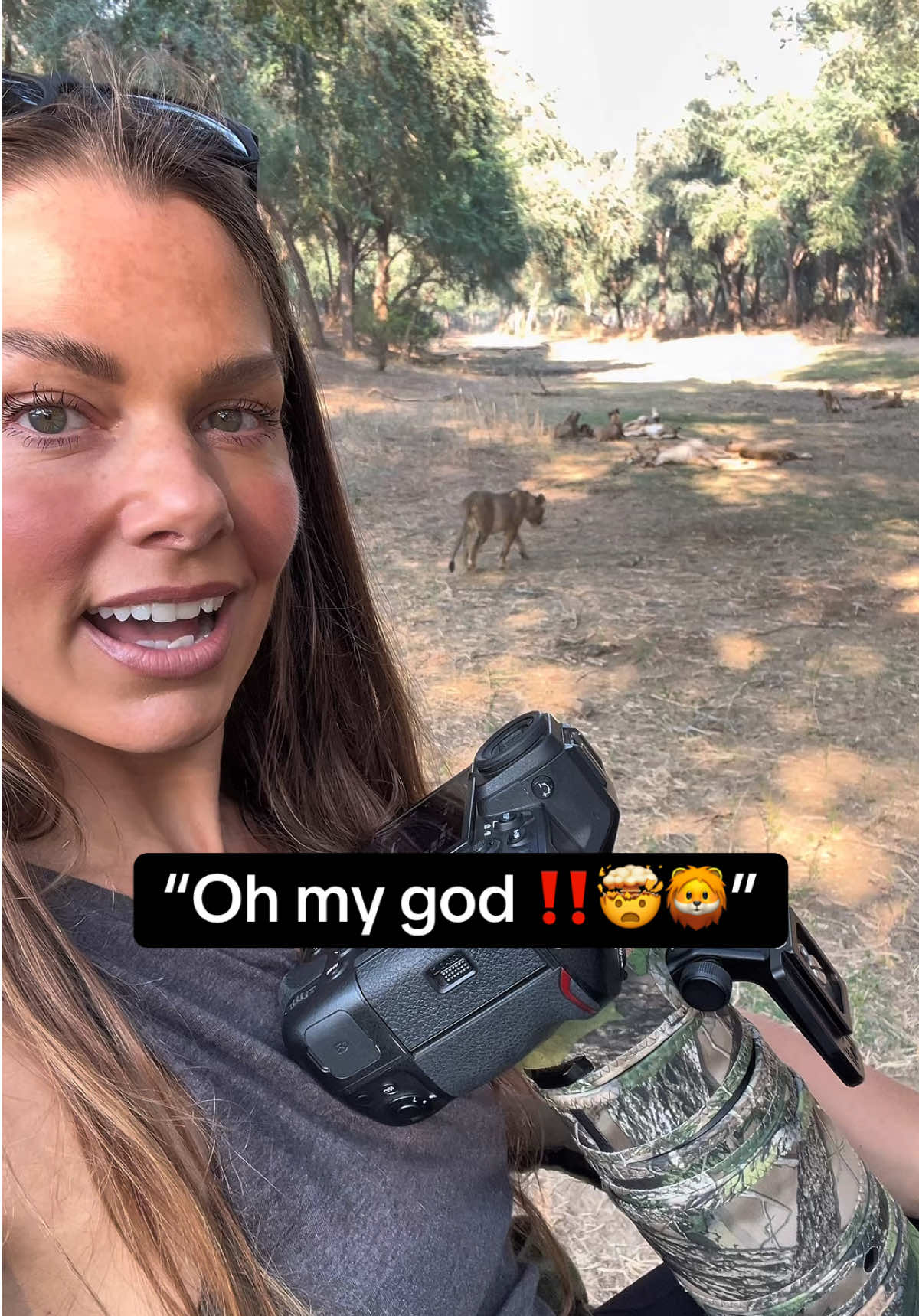A MEGA wildlife filmmaking morning with the lions! 🦁🎥😍 When it walked behind me every hair on the back of my neck stood up! 😳😍 @hannahstitfall on Instagram 🫶 #wildlifephotography #safari #wildlife #lion #cat 