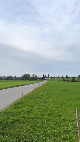 What a sound 😩 #hellcat #asmr #europe 