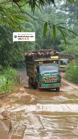 Membalas @Mas Kicrit #teamsenggang #kalbar 