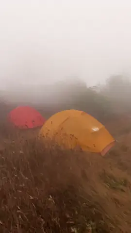 Windy ash💨🍂🏕️#fyp #xyzbca @Evan 