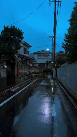 たまにね、この瞬間のまま時間が止まればいいのになって思うんだ。 #vibe #rain #japan #tokyo #street 