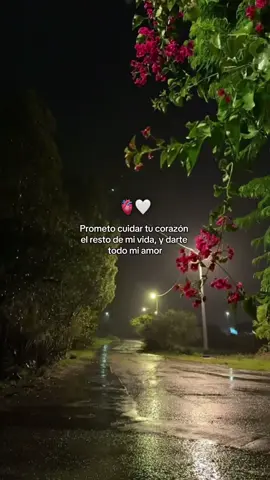#fyp #dedicar #viral_video #parati 