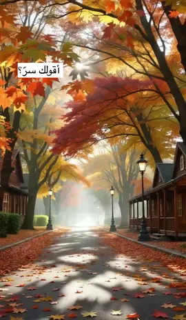 حين تسكن روحك جوار الله.. تهون كل فوضى، ويزهر في قلبك رضا لا يُوصف 🤍 القرب من الله لا يُنقصك شيئًا، بل يملؤك سكينة. #رسالة_لك #راحة_نفسية #امل #نور_وسكون #ثقة_بالله 