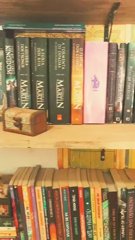 #BookTok #leitoresdotiktok #livrostiktok #estantedelivros 