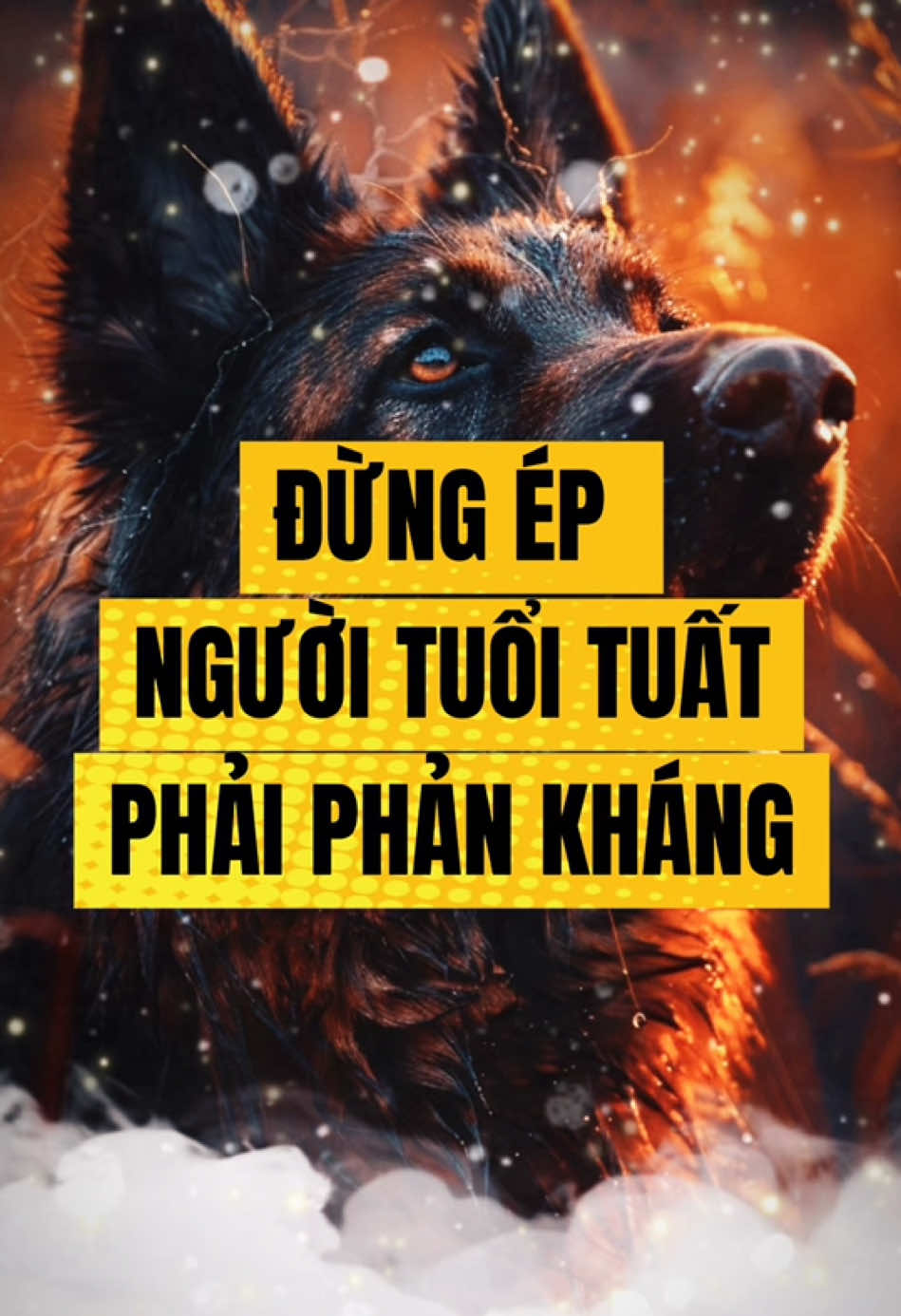 Đừng ép người tuổi Tuất phải phản kháng #tuvi #tuoituat #1994 #1982 #1970 