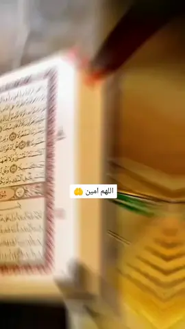 دعاء جميل في صباح يوم الأثنين 🤲🌿🤲🌿🤲🌿🤲🌿🤲#اللهم_صل_على_محمد_وآل_محمد #اللهم_آمين_يارب_العالمين #صباحكم_معطر_بذكر_الله 