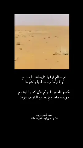 #عبدالله_بن_زويبن #اكسبلور #شعر #حرب #fyp 